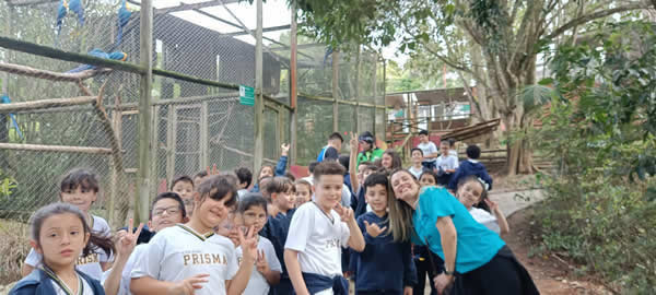 Bicho Mania 2022